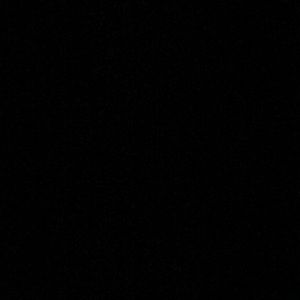 Meet your Posher, Frankie